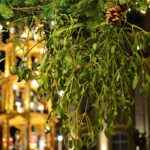 Monday Talks - Mistletoe and the Druids